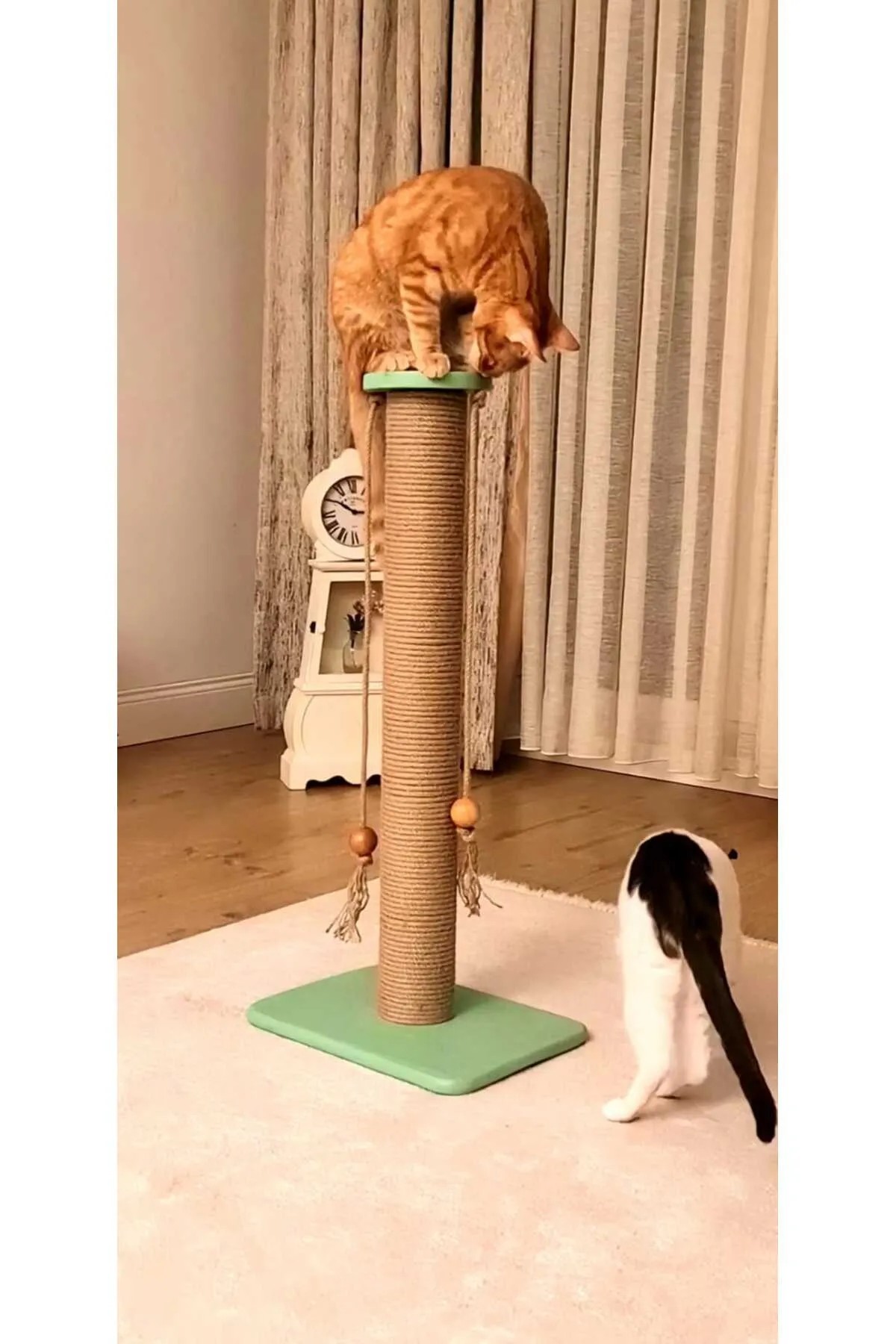 Boncuk Lüx Ahşap Büyük Kedi Tırmalama Tahtası