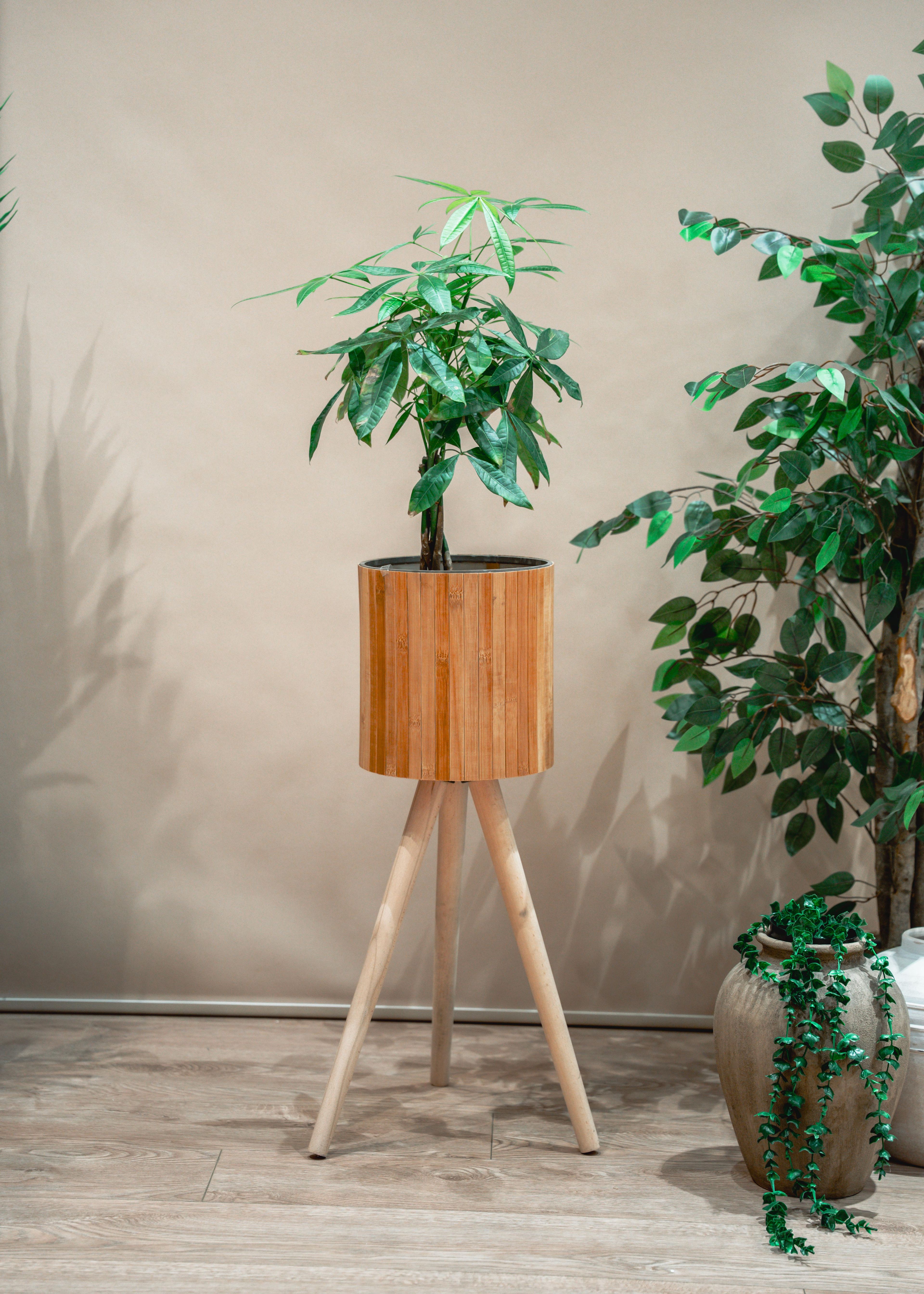 Bambu Ahşap Ayaklı Sepet/saksılık Naturel 46cm Ayak Boyu (24CM VEYA 39CM AYAK TALEP EDEBİLİRSİNİZ)