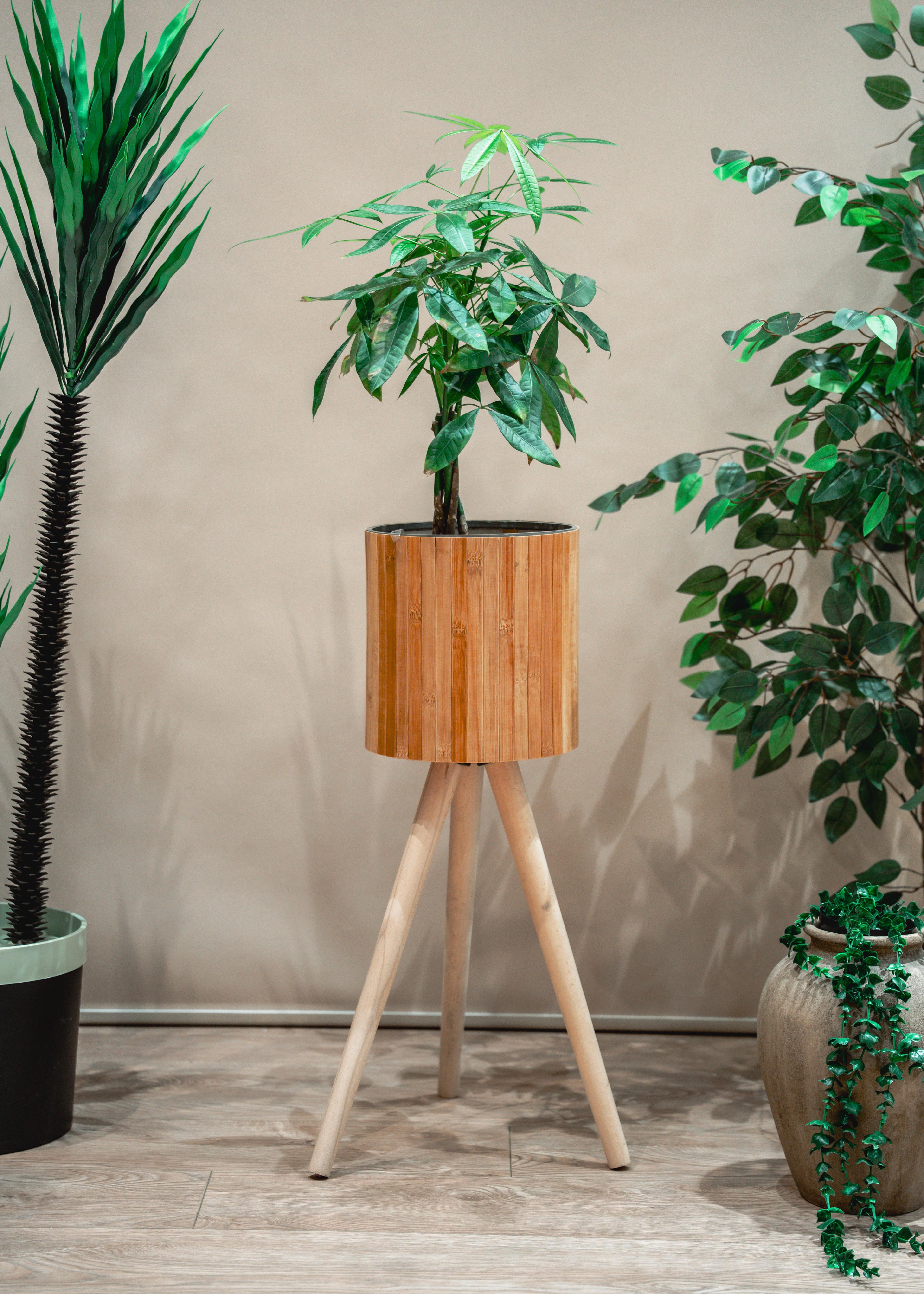 Bambu Ahşap Ayaklı Sepet/saksılık Naturel 46cm Ayak Boyu (24CM VEYA 39CM AYAK TALEP EDEBİLİRSİNİZ)