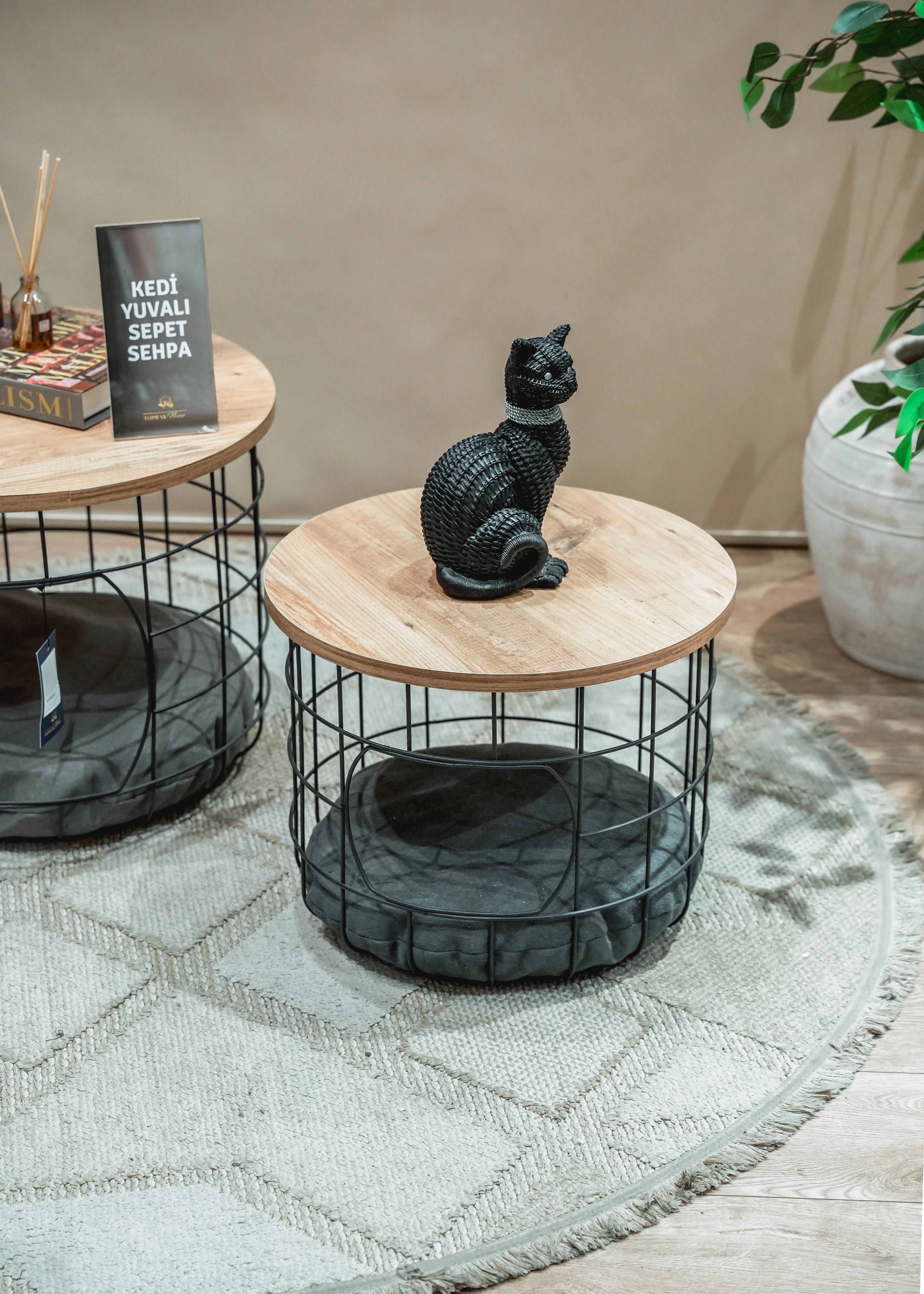 Dekoratif Kedi Köpek Yuvalı 2’li Tel Sepet Sehpa