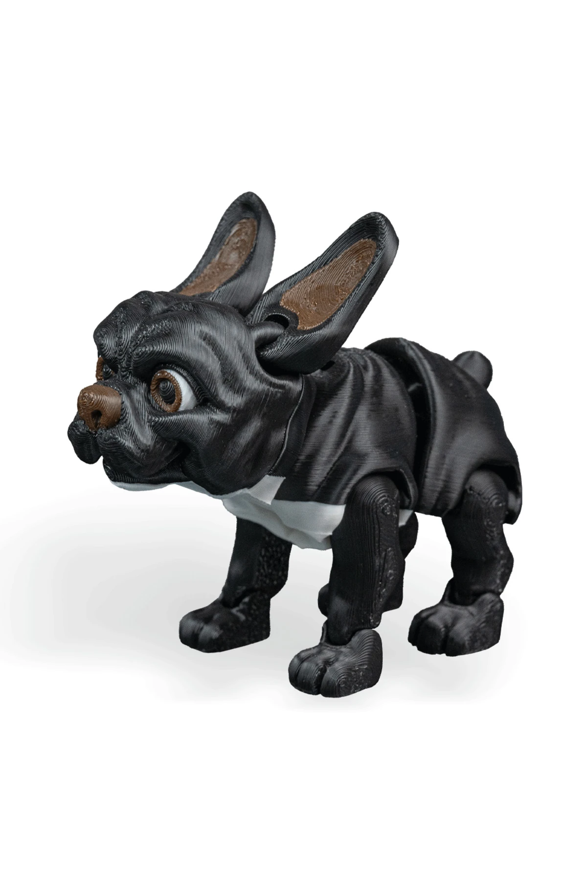 Stella Fransız Bulldog