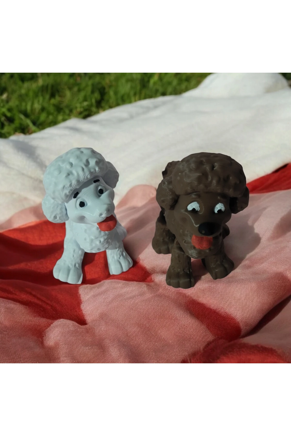 Toy Poodle Kardeşler Hareketli 2li