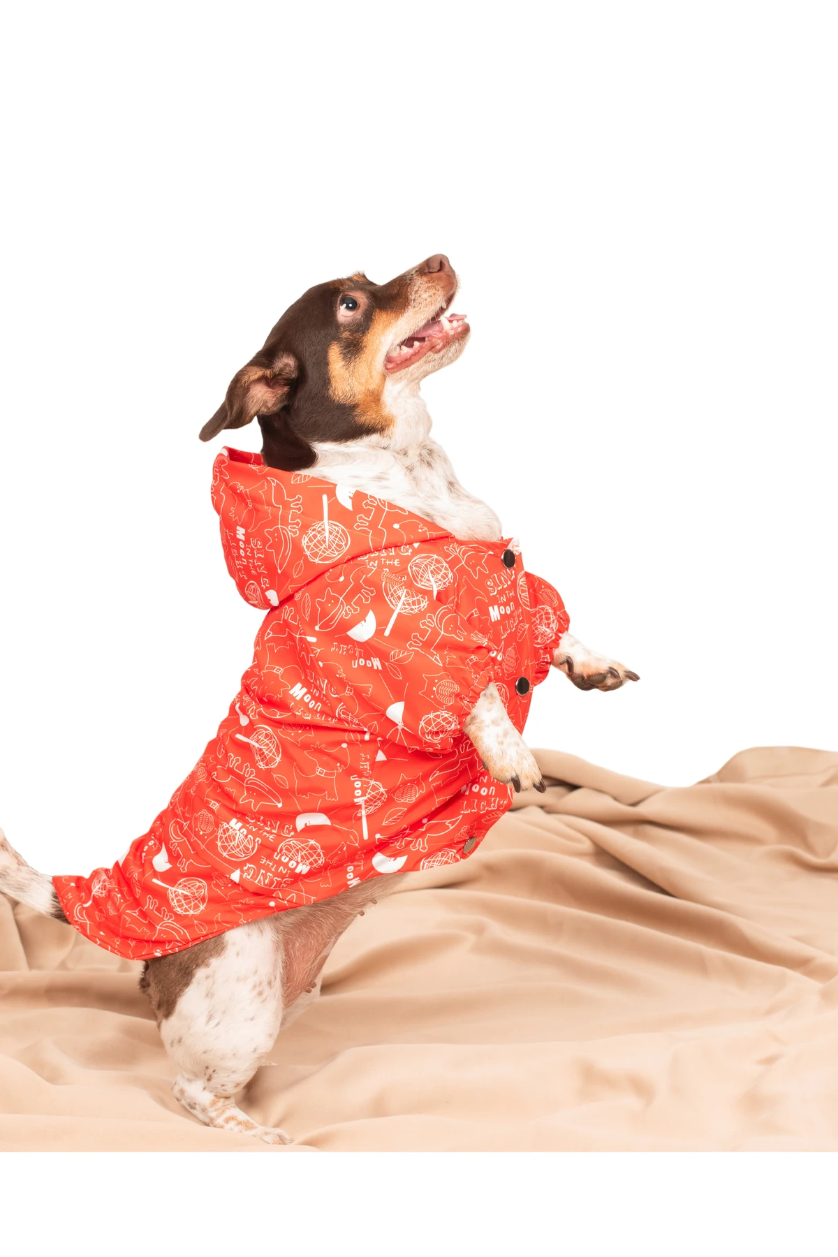 Cute Animals içi polarlı yagmurluk