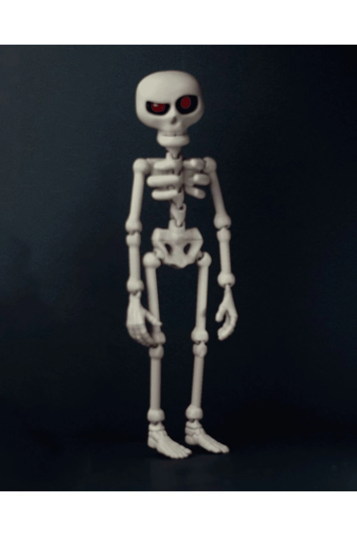 Insan Iskelet Modeli