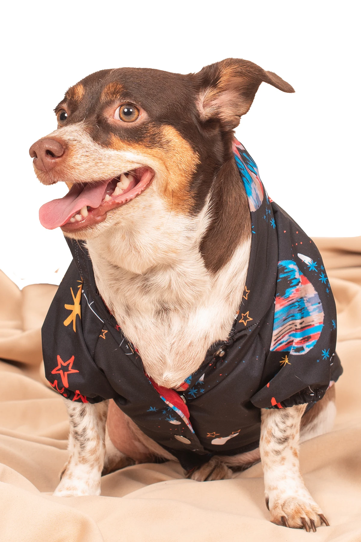 Köpek Mont Yağmurluk Mont Köpek Mont Köpek Kıyafeti Köpek Yağmurluğu