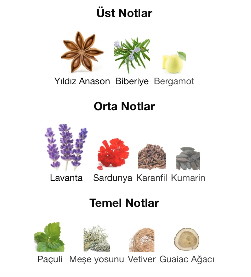 Emre BOSLU Rive Gauche 10 ml Extrait Erkek Parfüm