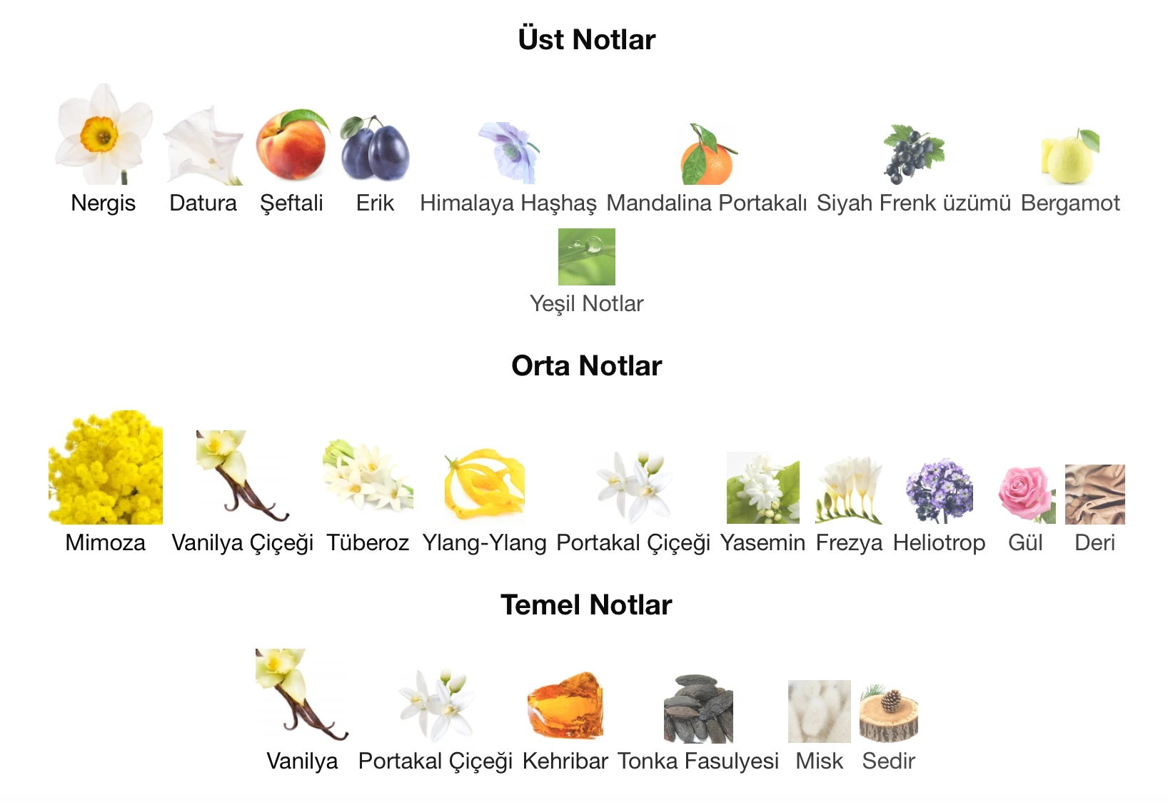 Emre BOSLU Poeme 25 ml Extrait Kadın Parfüm