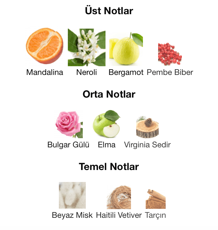 Emre BOSLU Jardin d'Amalfi 25 ml Extrait Unisex Parfüm