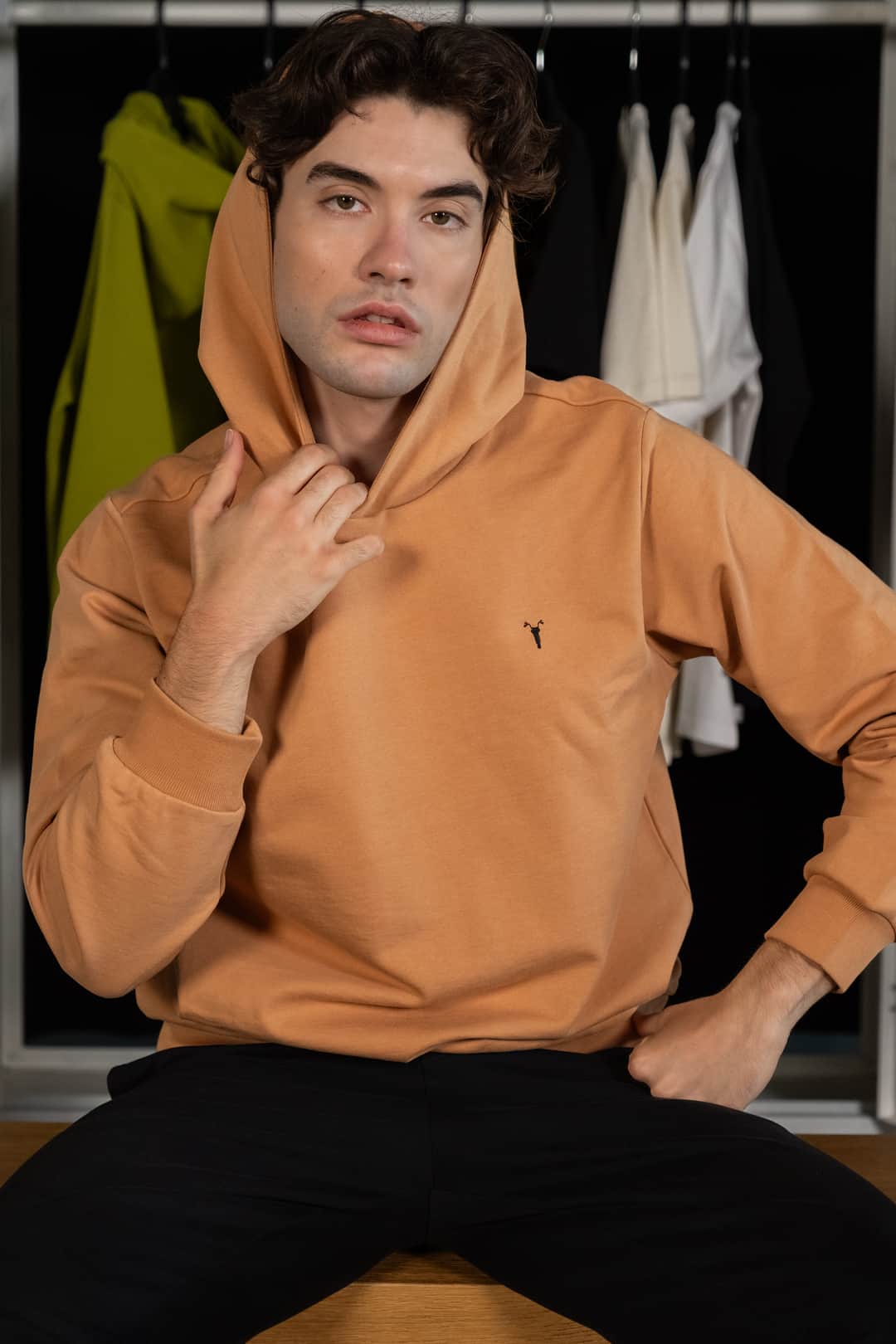 Nakış Detaylı Bej Regular Hoodie