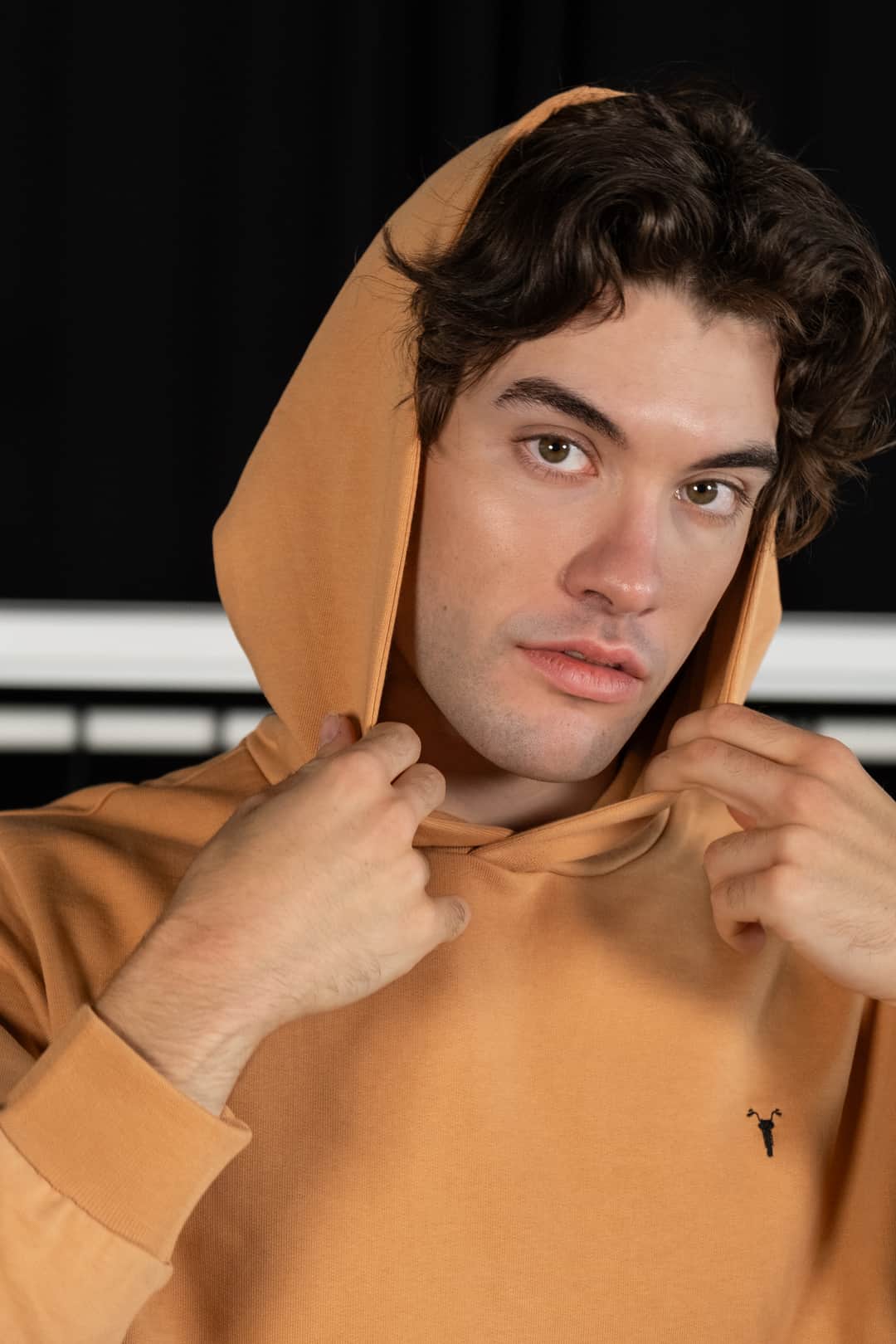 Nakış Detaylı Bej Regular Hoodie