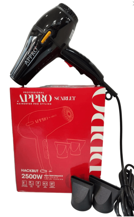APPRO 01 Mini Professionel 2500 Watt Fön Makinesi