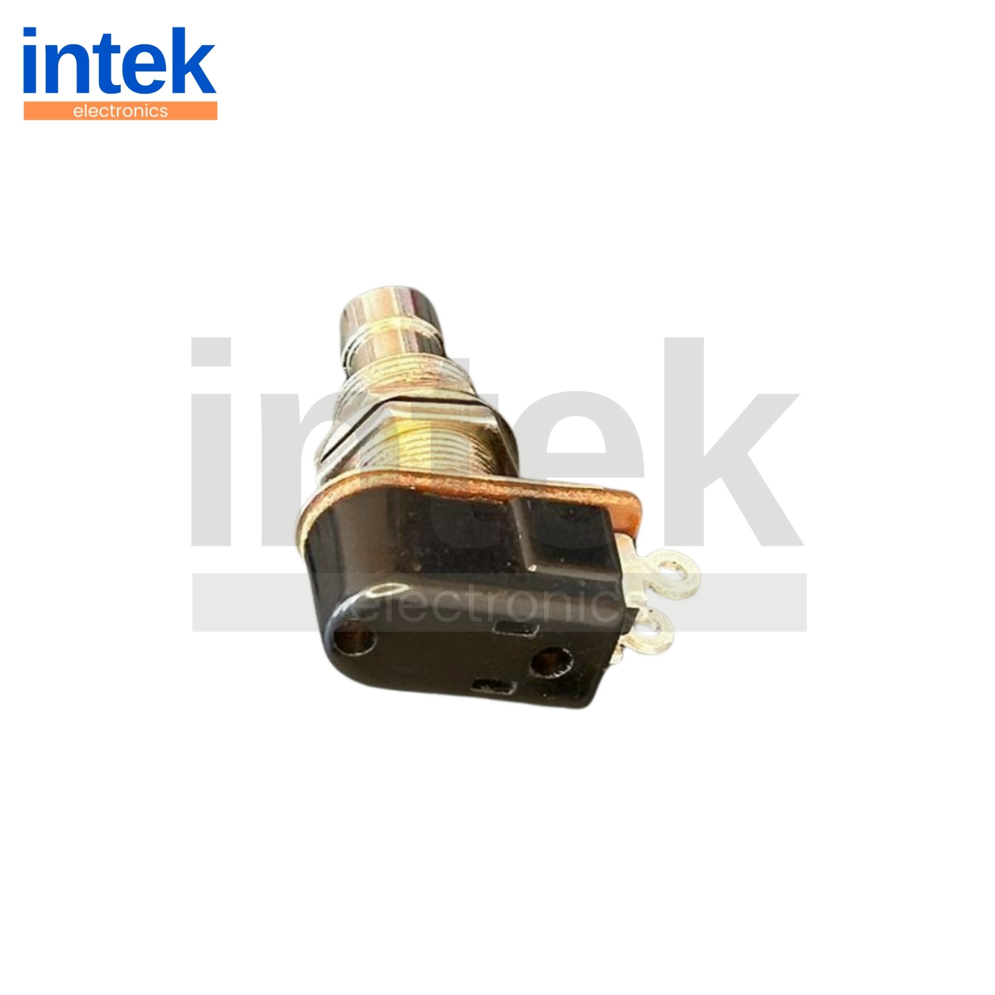 IN148J Pedal Swıtch Yaylı 2P