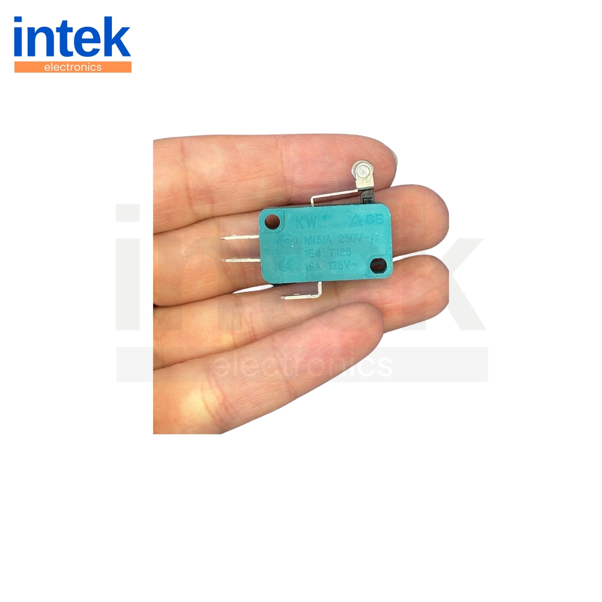 IN172Y MİCRO SWITCH KISA MAKARA