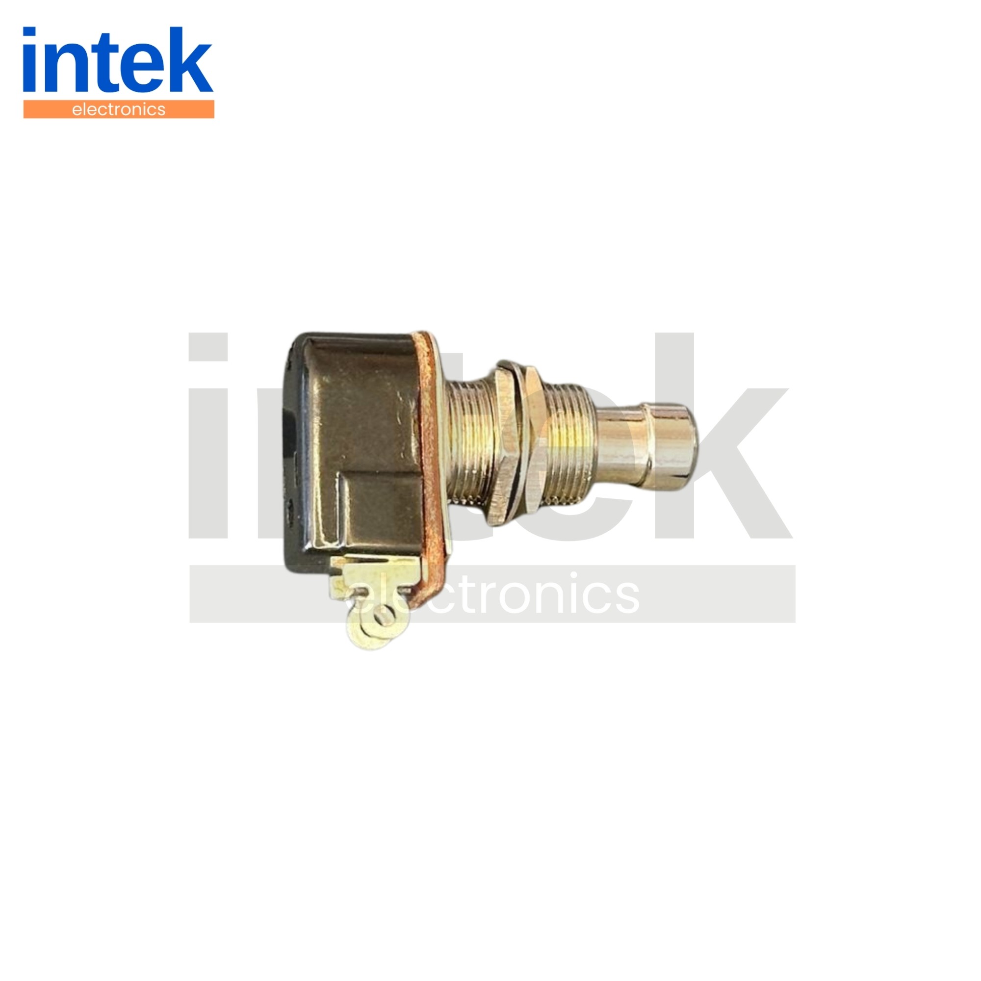 IN148J Pedal Swıtch Yaylı 2P