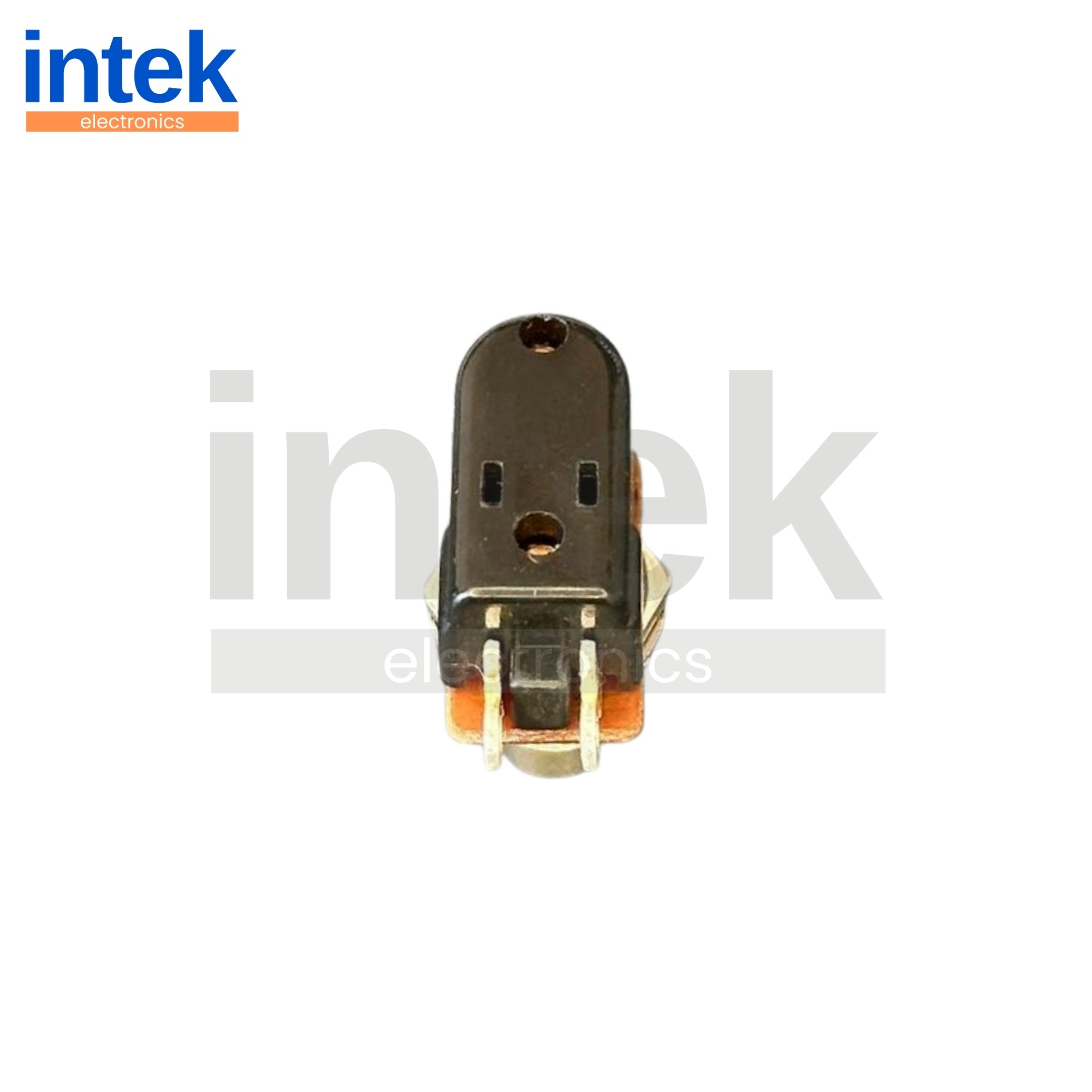 IN148J Pedal Swıtch Yaylı 2P