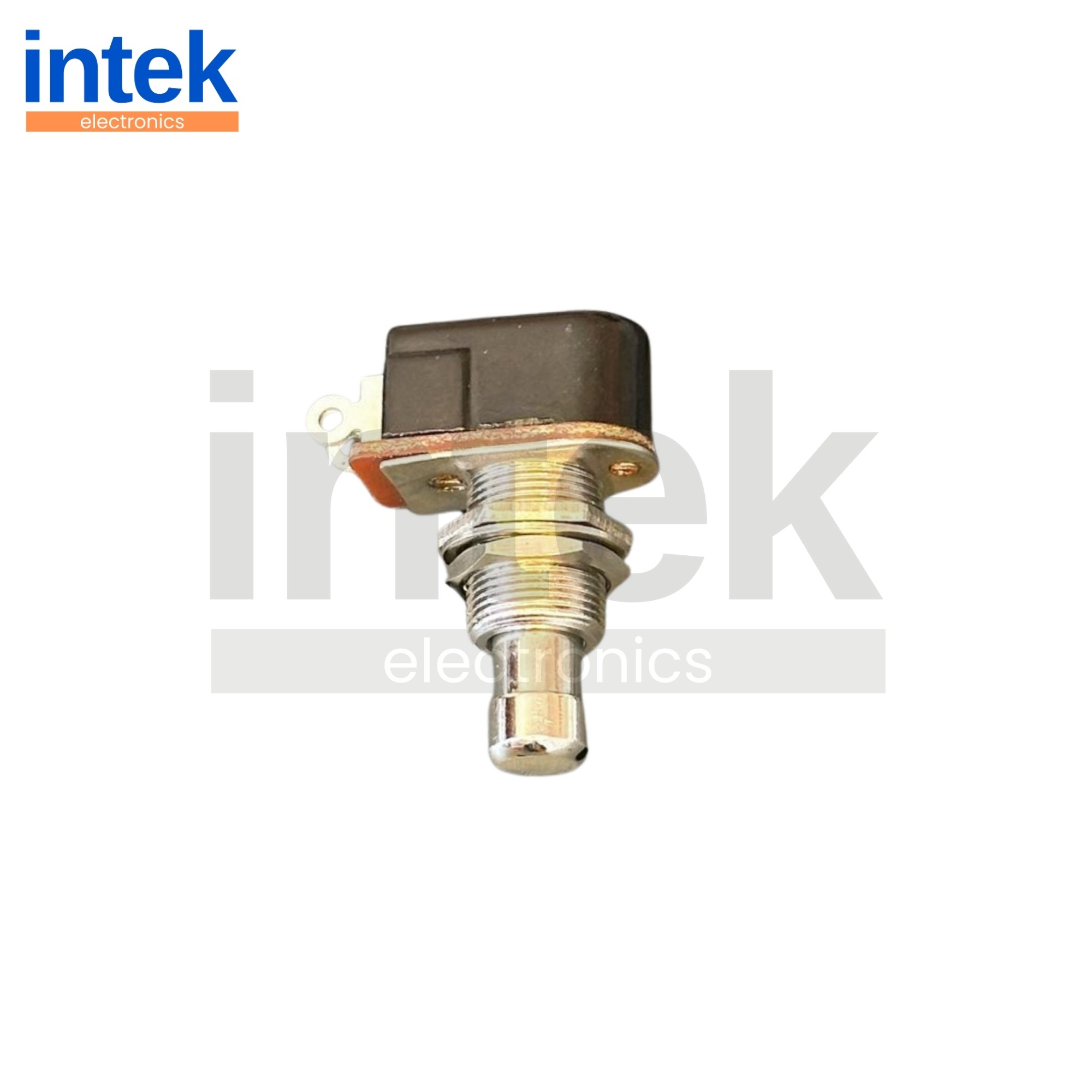 IN148J Pedal Swıtch Yaylı 2P