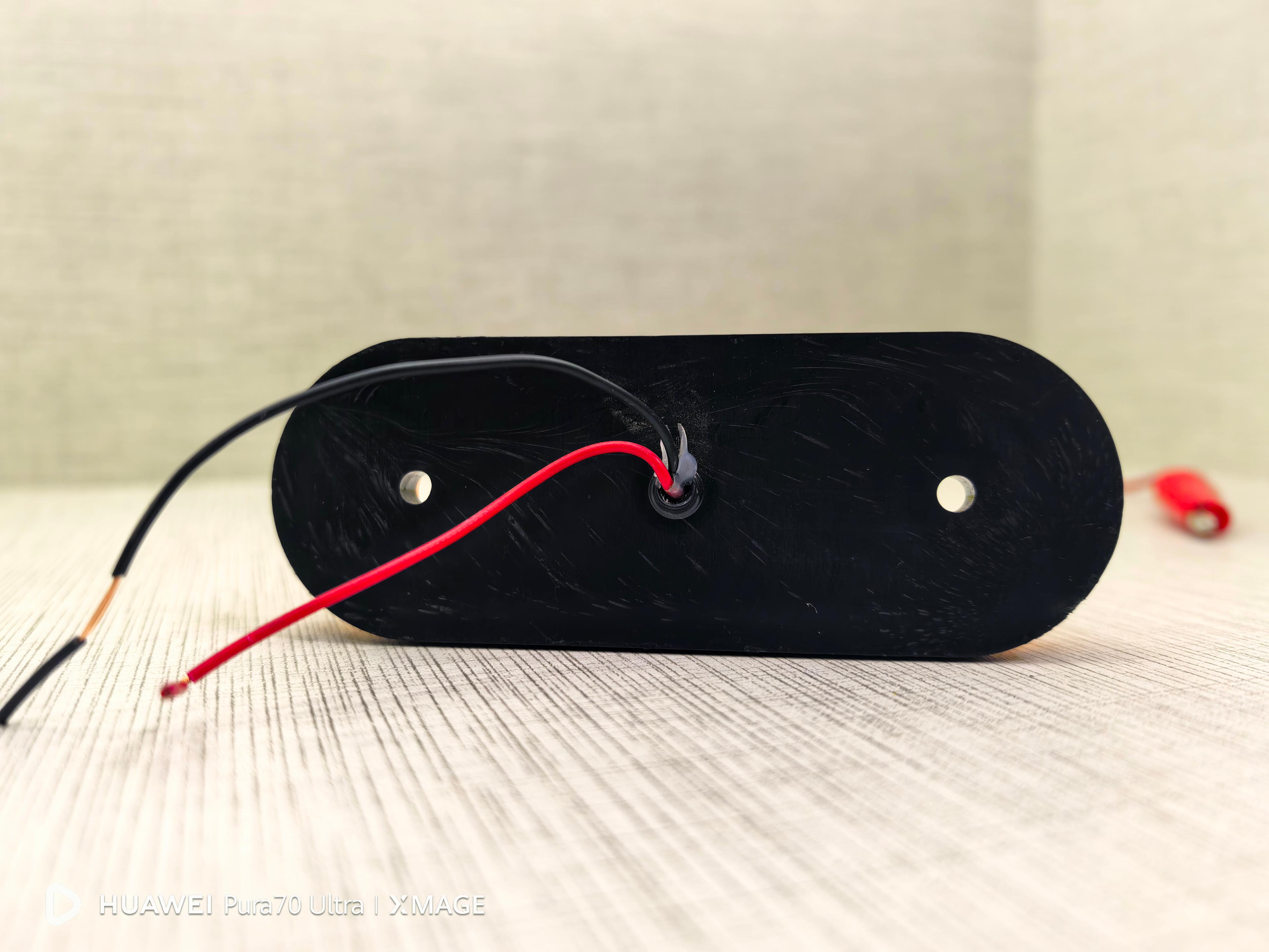 Neon Dorse Led Oval 12-24V