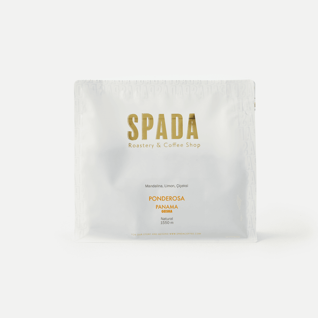 spadacoffee.com