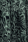 Yeşil Leopar