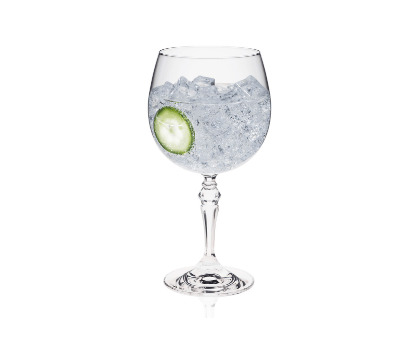 Rona Specials Gin & Tonic Kadehi - 630 ml - 6lı Set