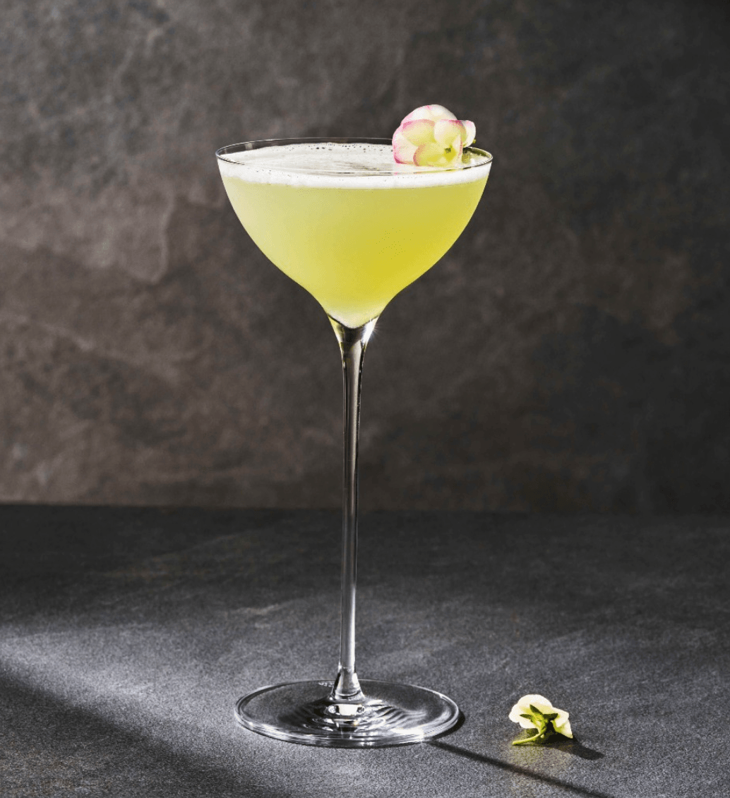 Rona Diverto Martini Kadehi - 200 ml - 6lı Set