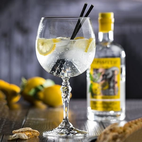 Rona Specials Gin & Tonic Kadehi - 630 ml - 6lı Set