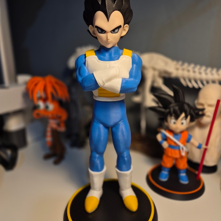 Vegeta Dragon Ball