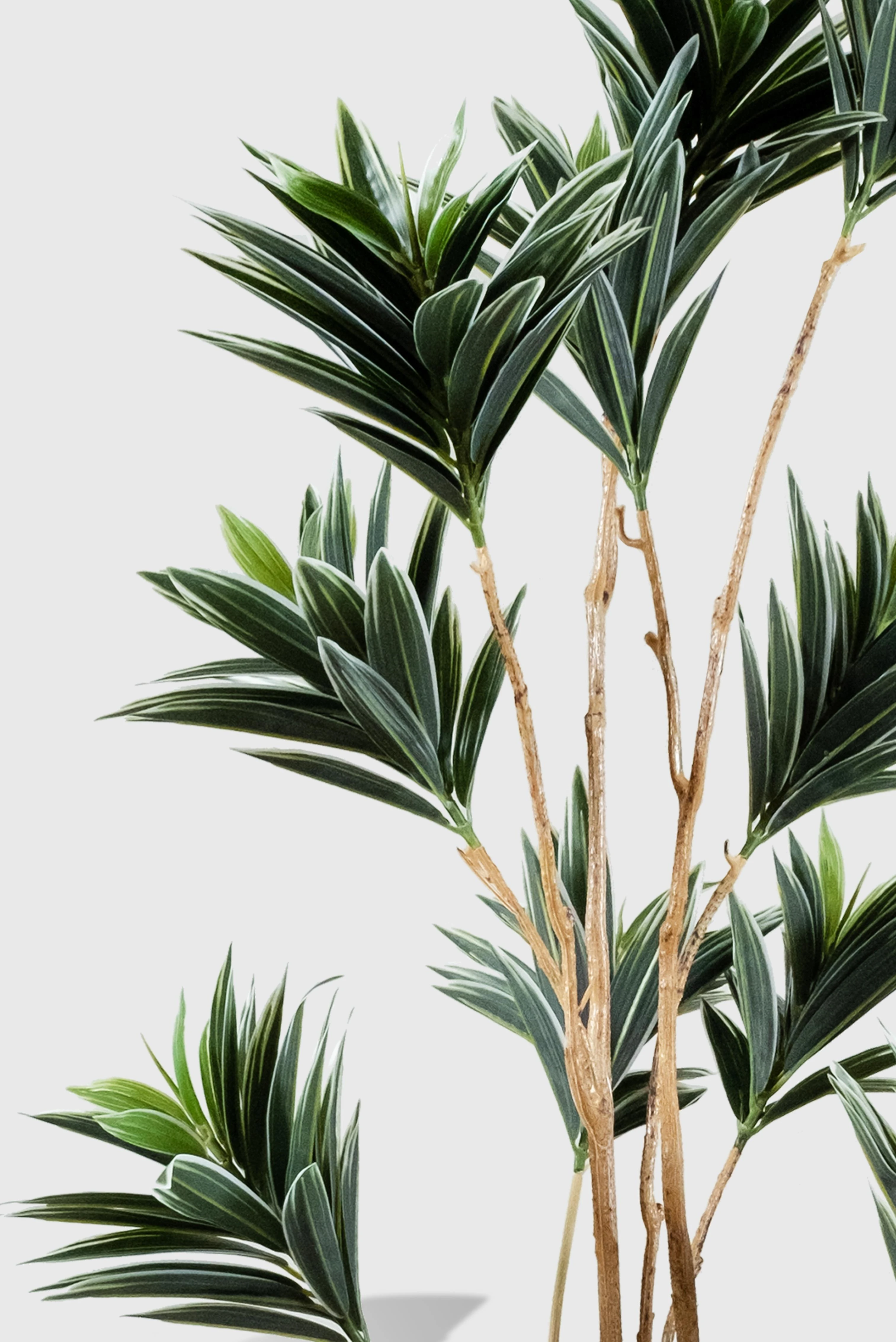 Dracaena Yapay Ağaç