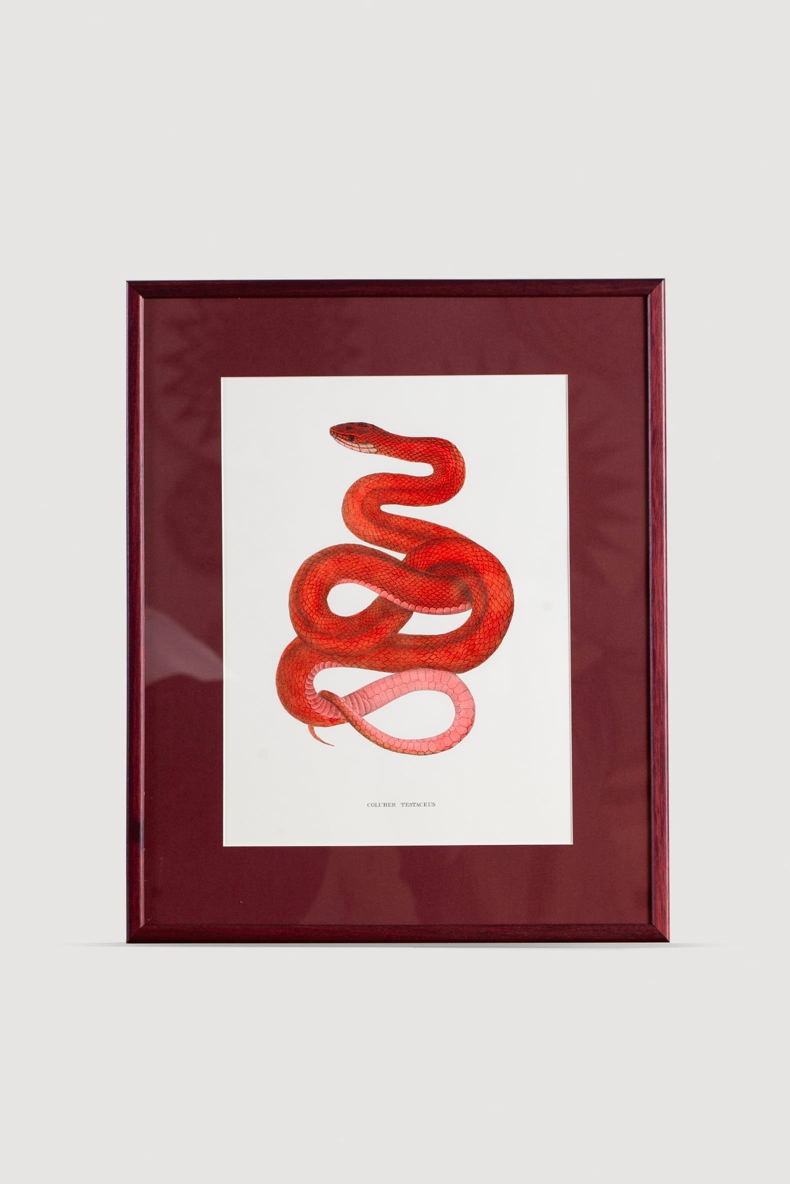 Serpent Serisi Tablo No:2