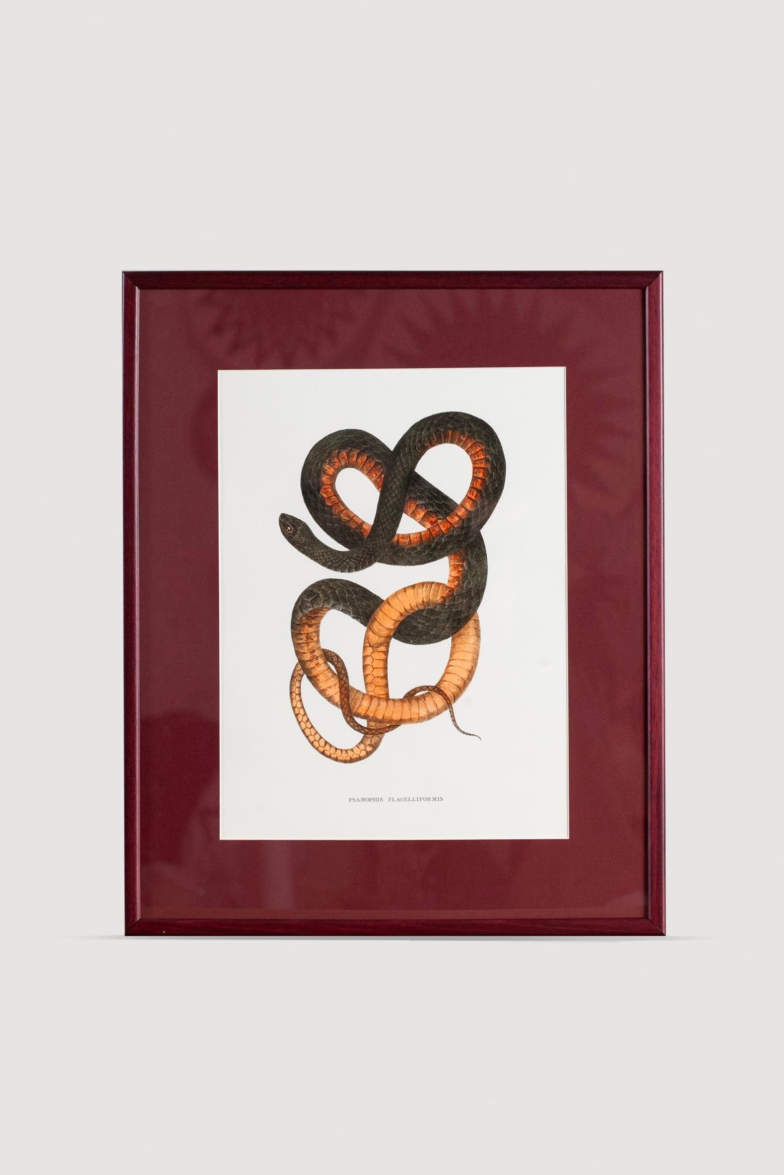 Serpent Serisi Tablo No:4