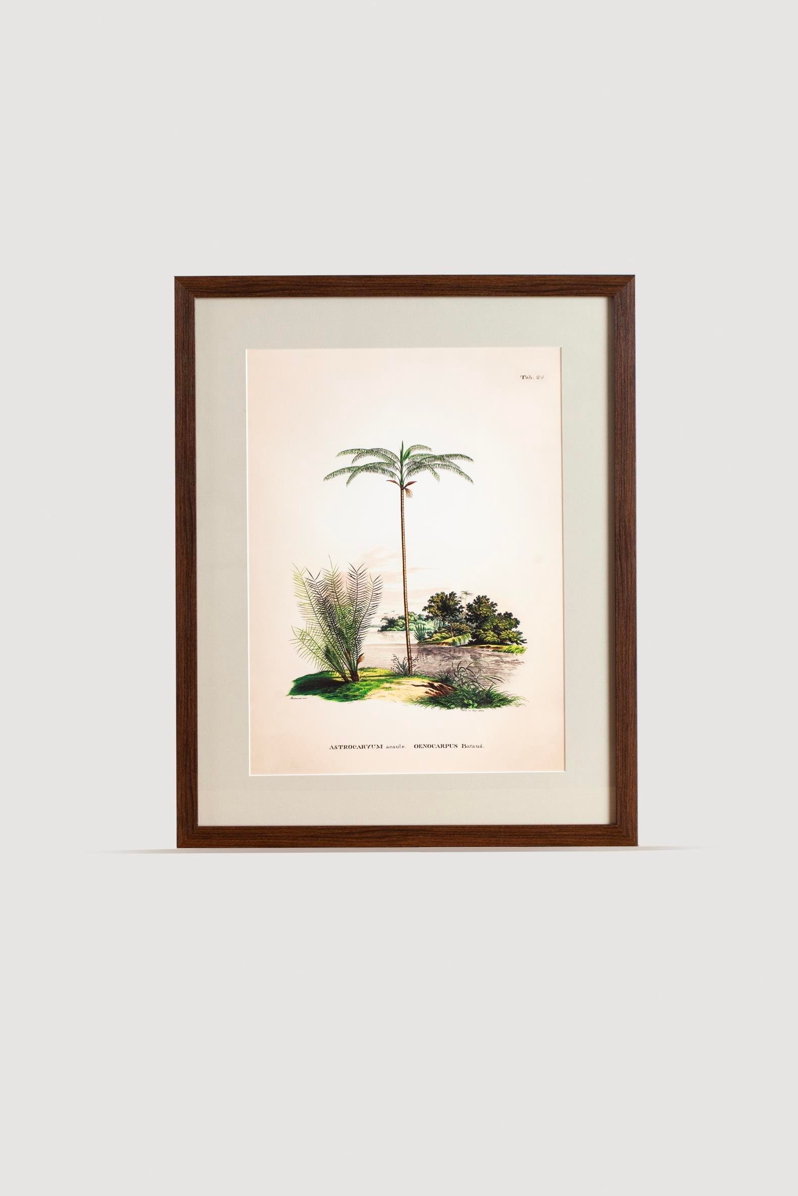 Tropical Serisi Tablo No:1