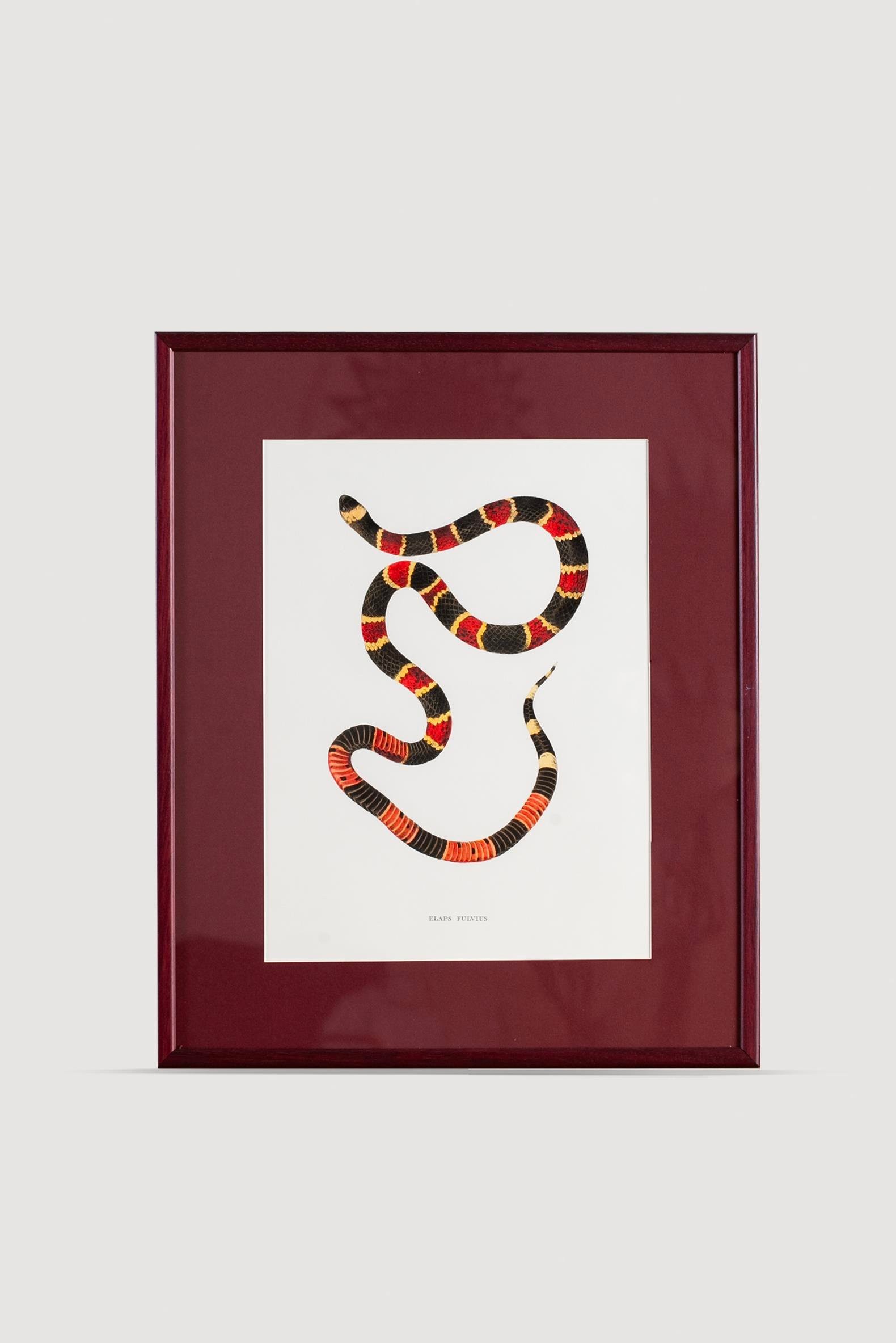 Serpent Serisi Tablo No:7