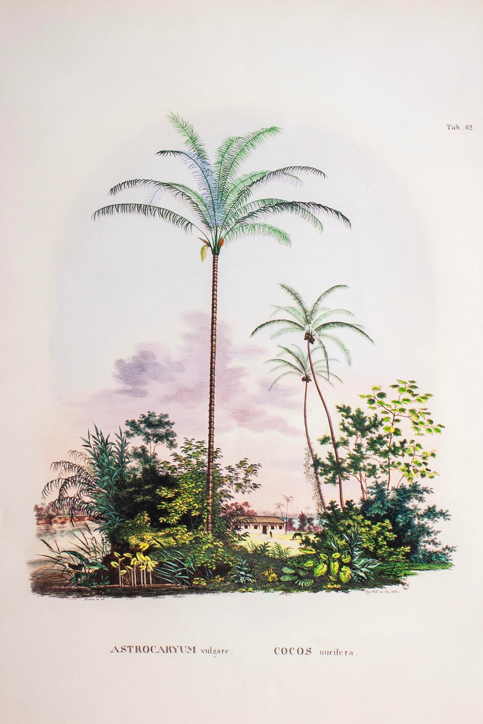 Tropical Serisi Tablo No:3
