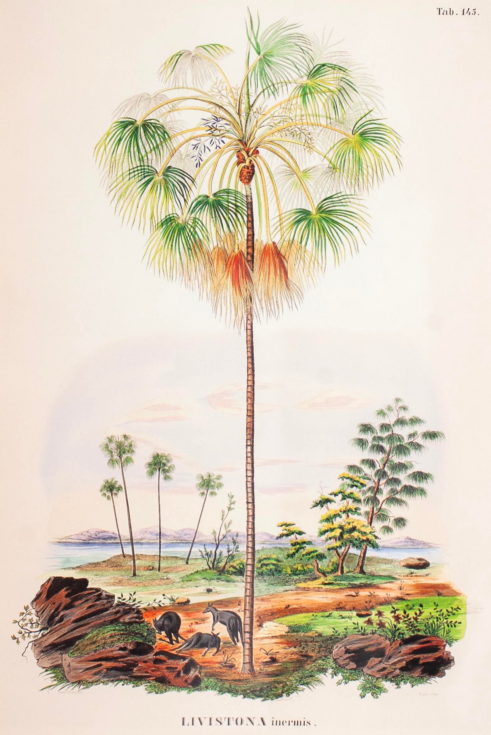 Tropical Serisi Tablo No:2