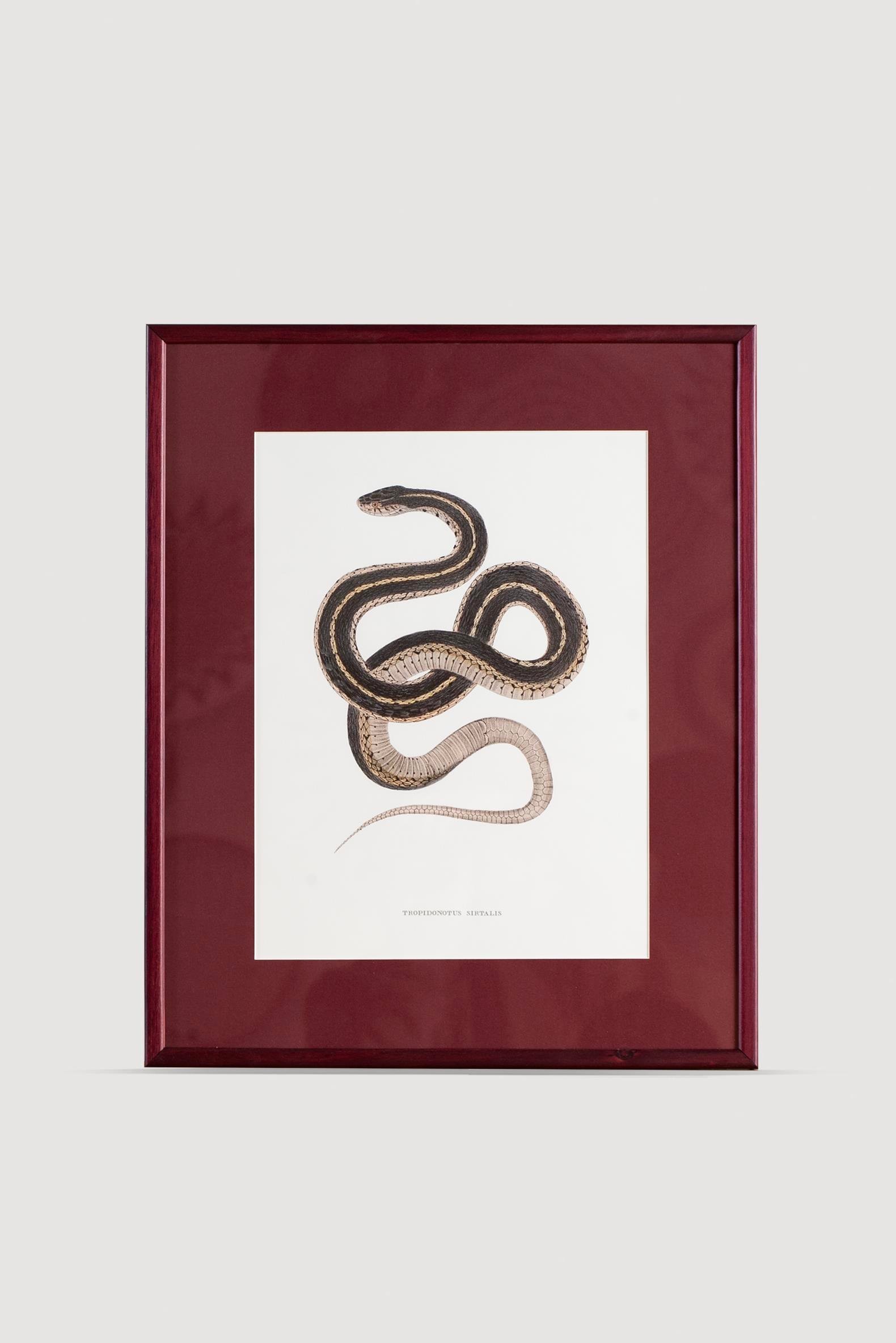 Serpent Serisi Tablo No:3