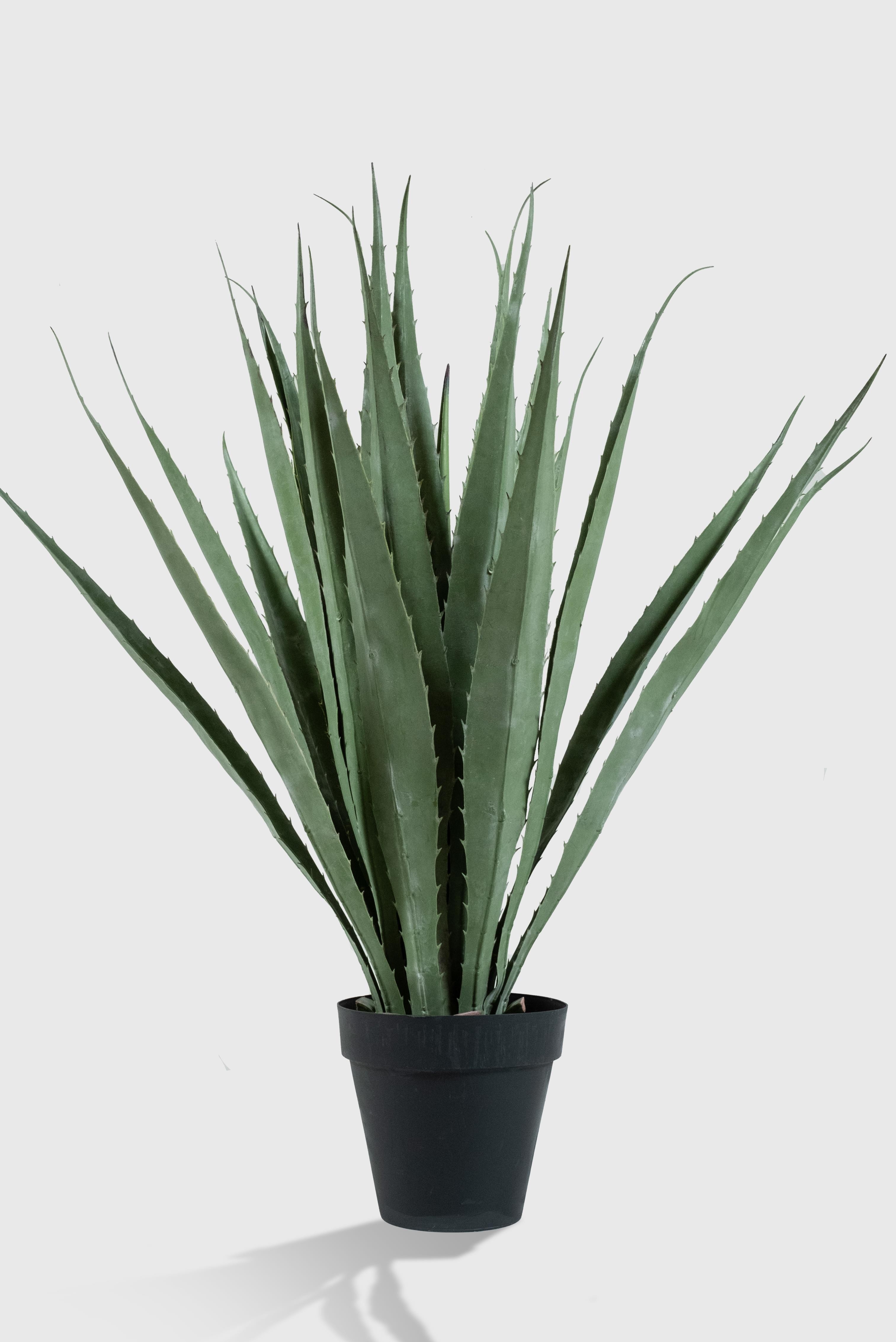 Aloe Vera Yapay Bitki
