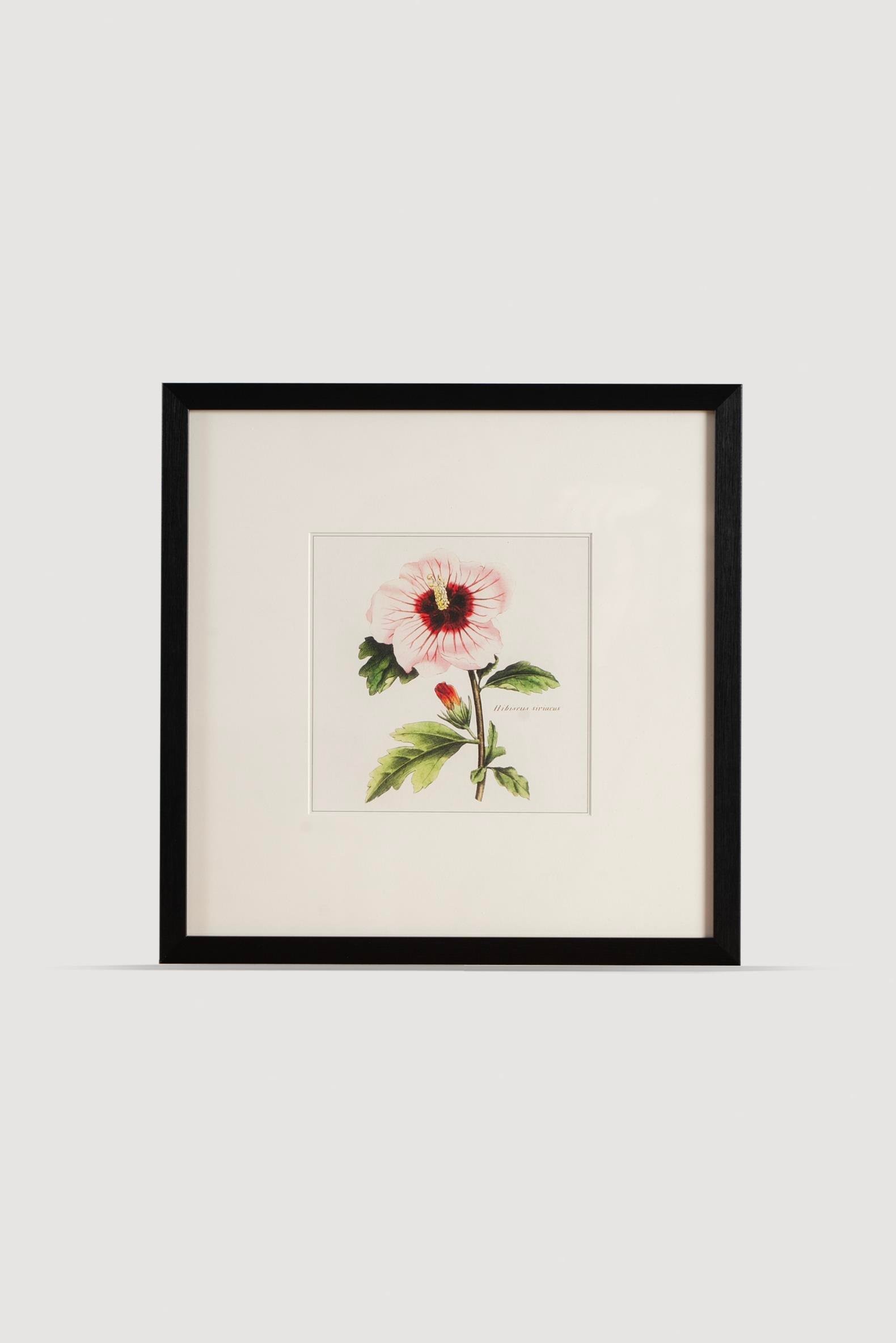 PLANT Serisi Tablo No:2