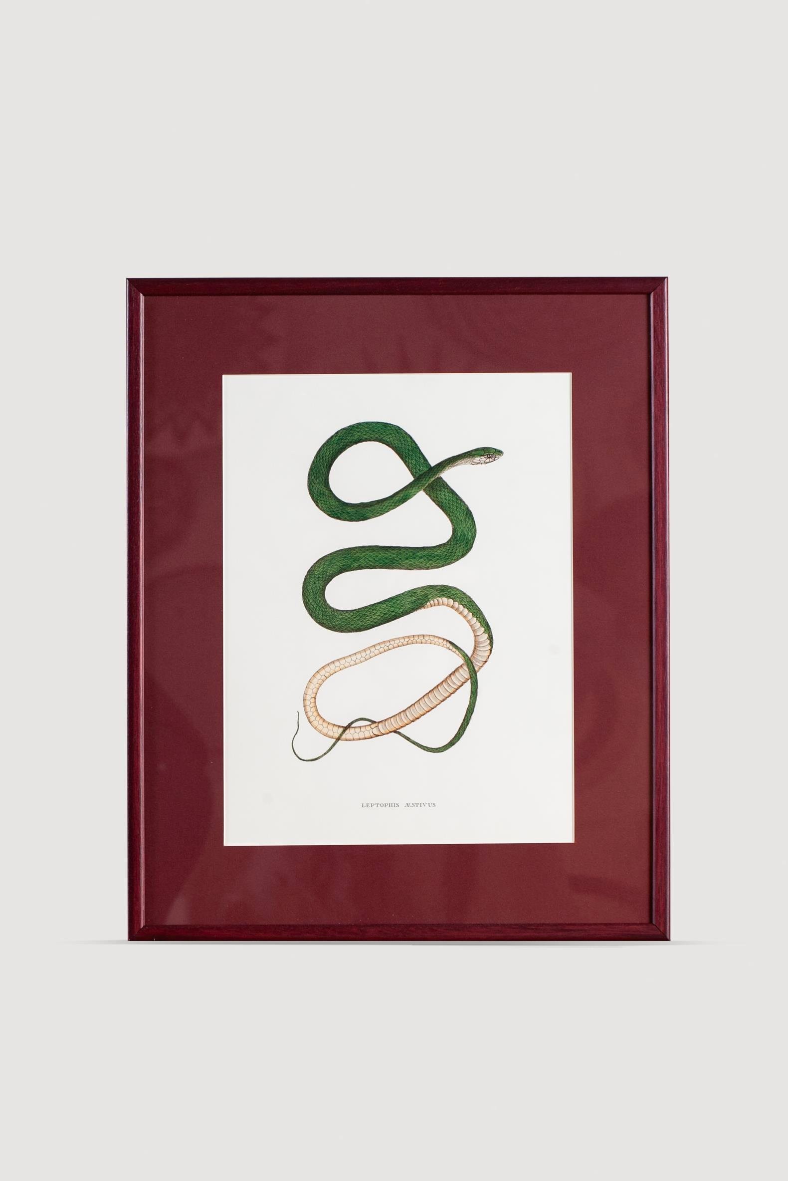 Serpent Serisi Tablo No:5