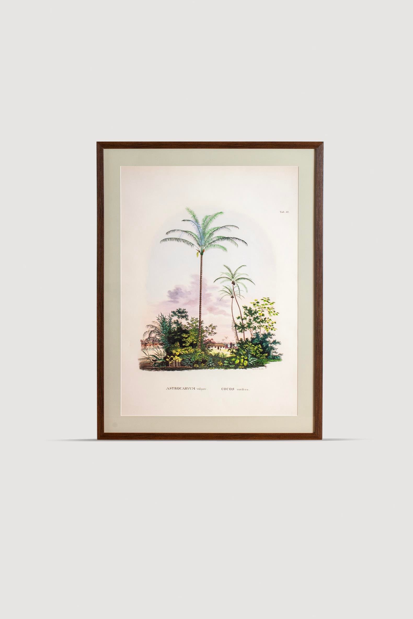 Tropical Serisi Tablo No:3