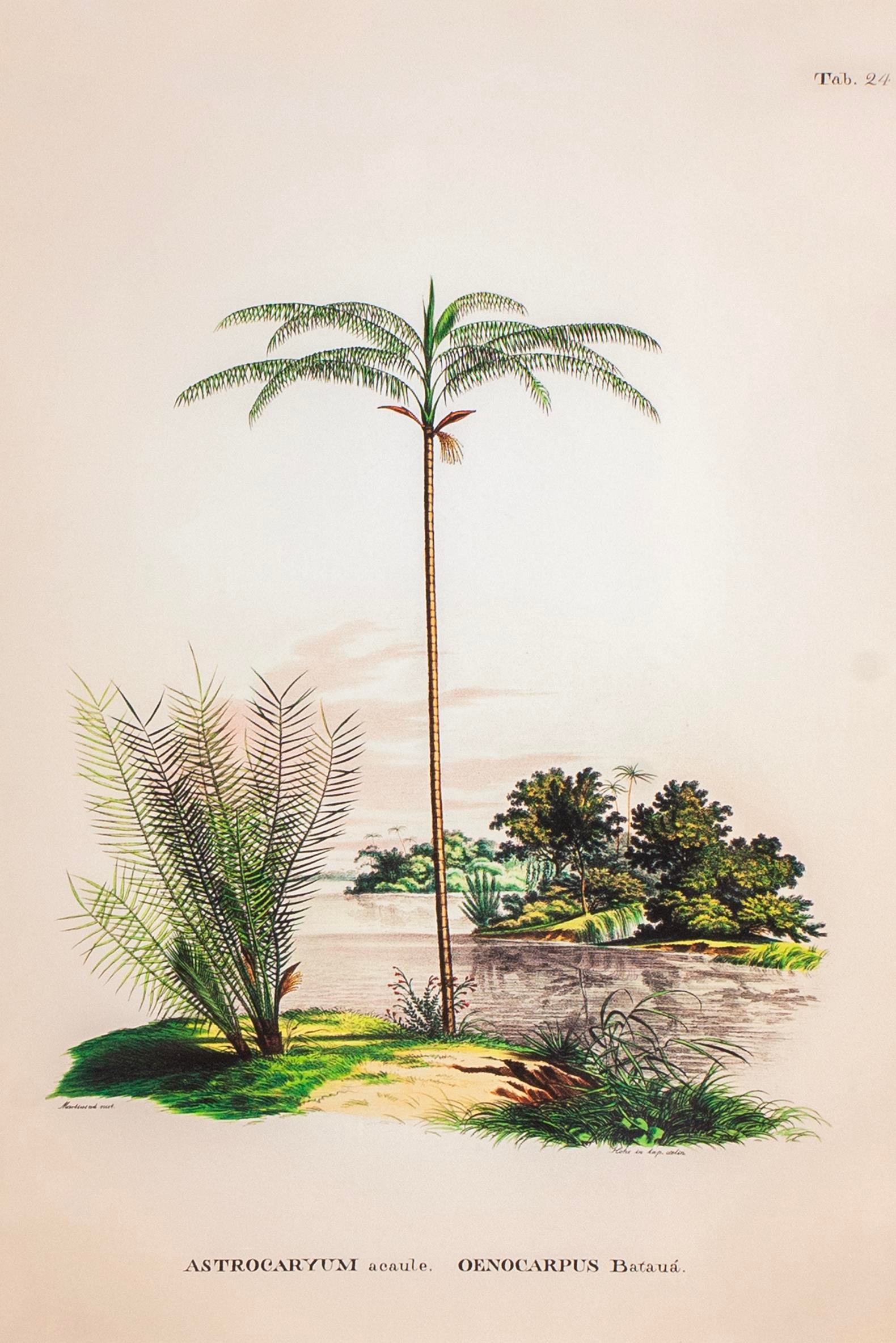Tropical Serisi Tablo No:1