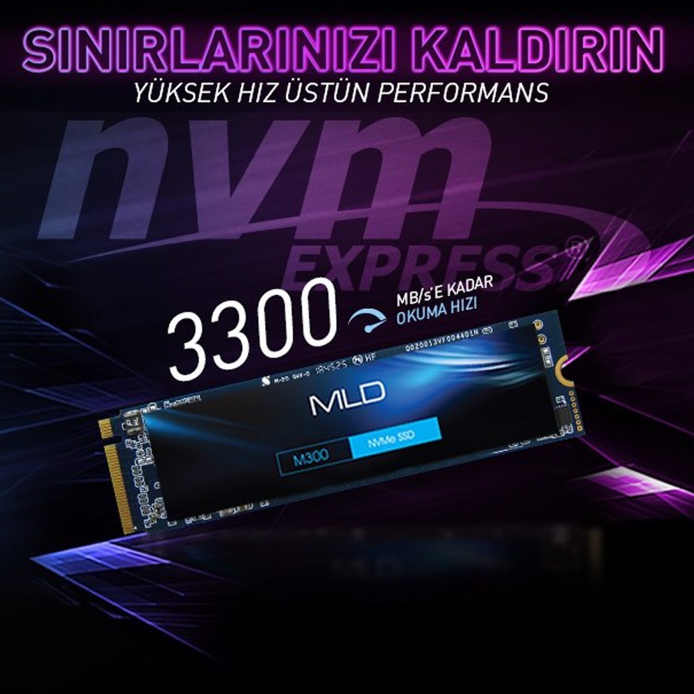 MLD M300 1TB NVME 2280 Gen3x4 M.2 SSD (3300MB Okuma / 3100MB Yazma)