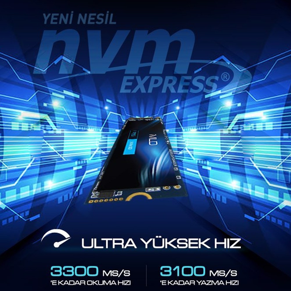 MLD M300 1TB NVME 2280 Gen3x4 M.2 SSD (3300MB Okuma / 3100MB Yazma)