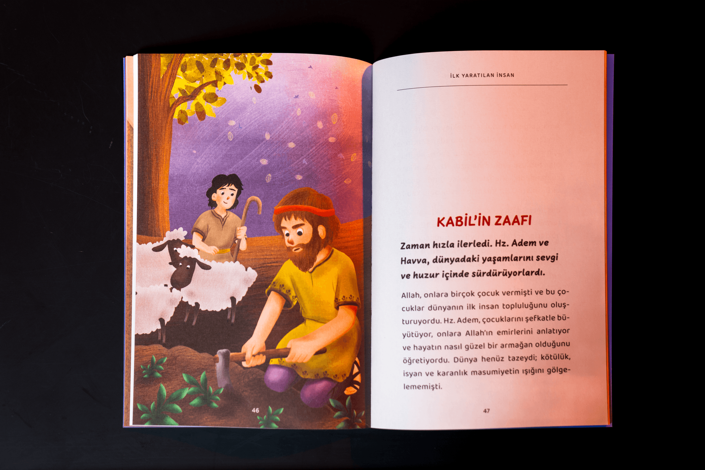 5'li Kitap Seti