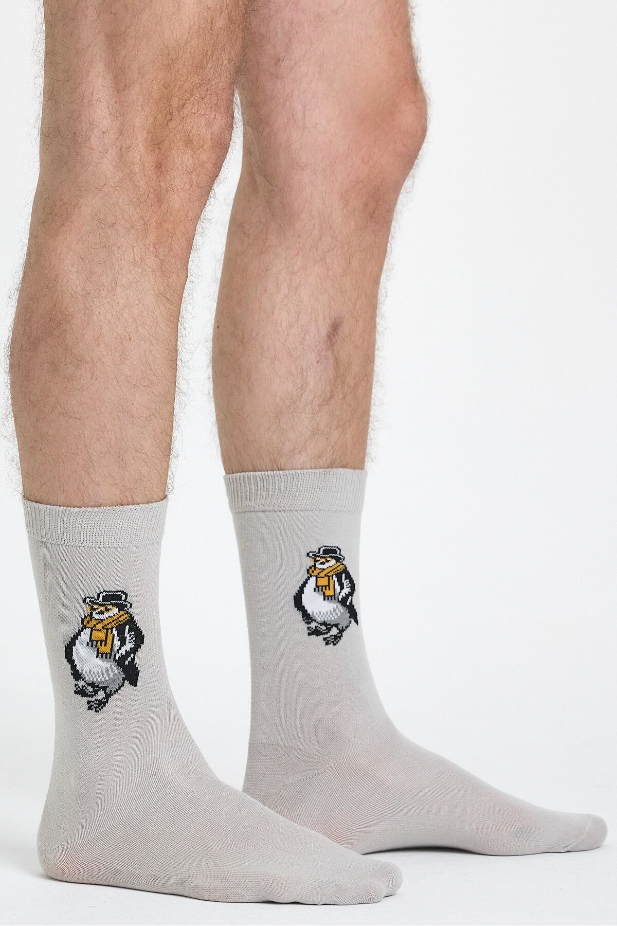 açık gri-penguen