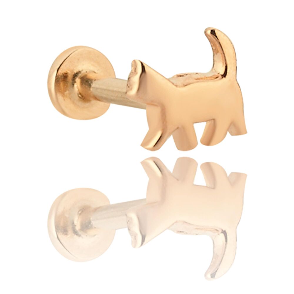 Kedi Rose Tragus