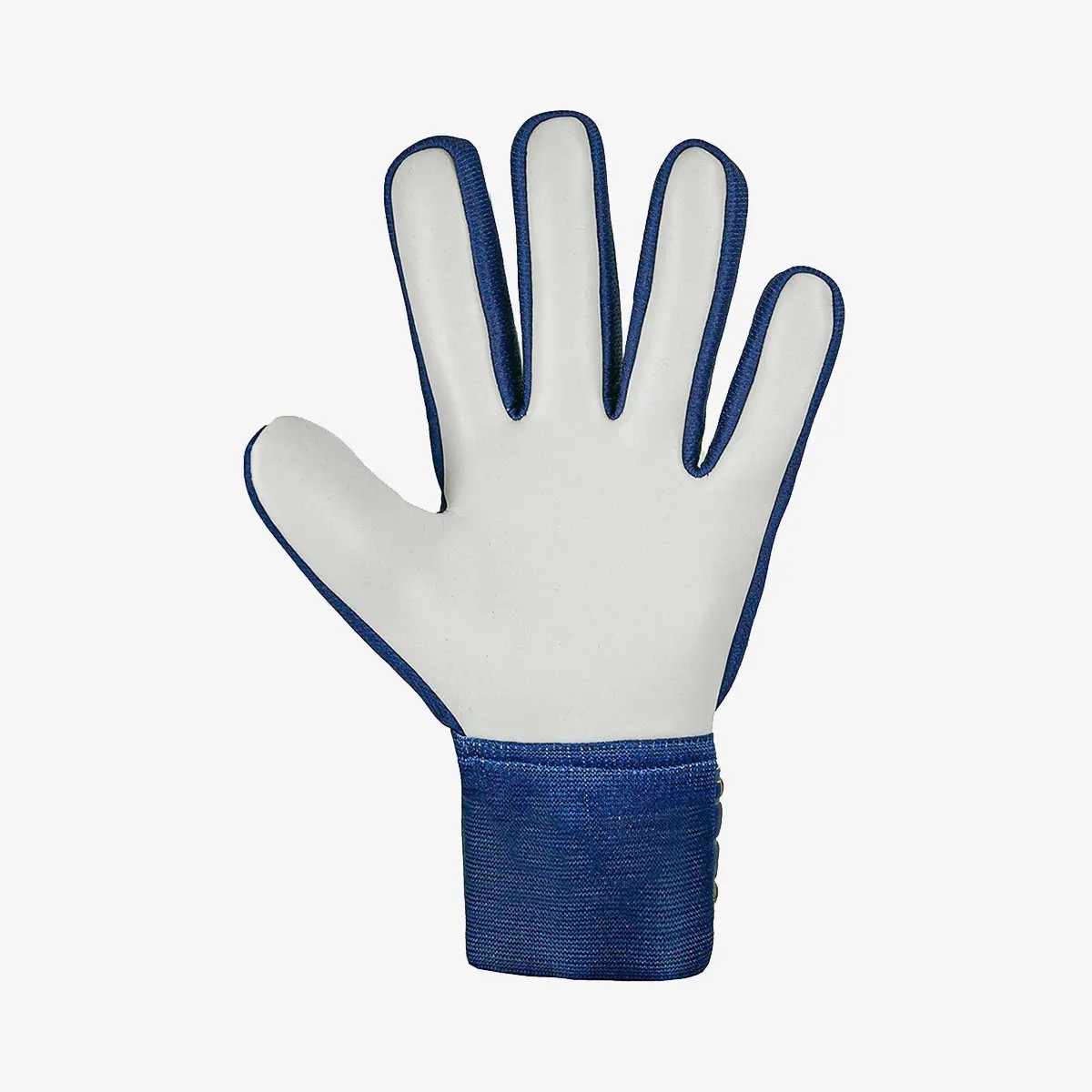 Reusch Attrakt Starter Solid Kaleci Eldiveni