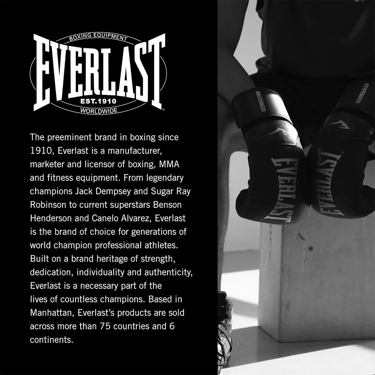 Everlast Prostyle 2 Boks Eldiveni