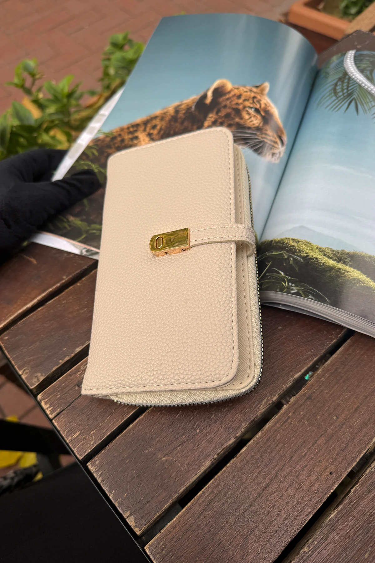 La'Graccio Paris Kadın Cakes Kullanışlı Cüzdan - Krem