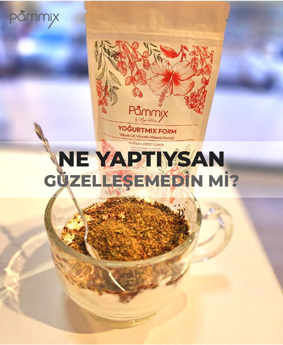Yoğurtmix Form