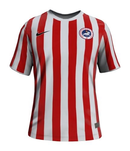 T-SHIRT FORMA